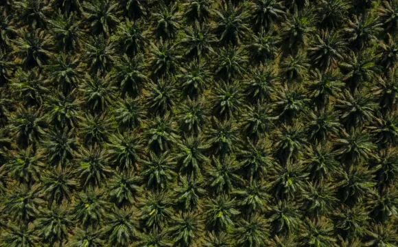 DJI_0302 (1)