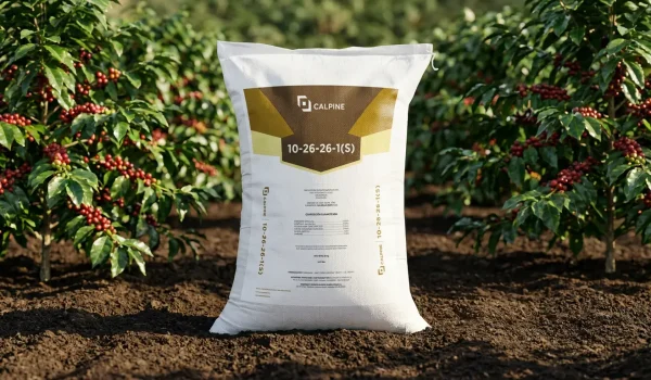 magnific_place-the-exact-fertilize_dtCTD3HXSL